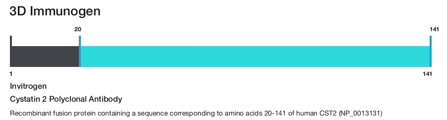 Cystatin 2 Polyclonal Antibody
