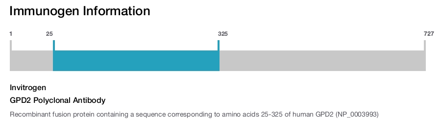 GPD2 Polyclonal Antibody
