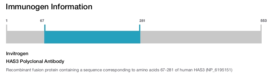 HAS3 Polyclonal Antibody