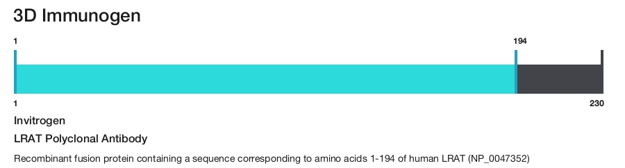 LRAT Polyclonal Antibody