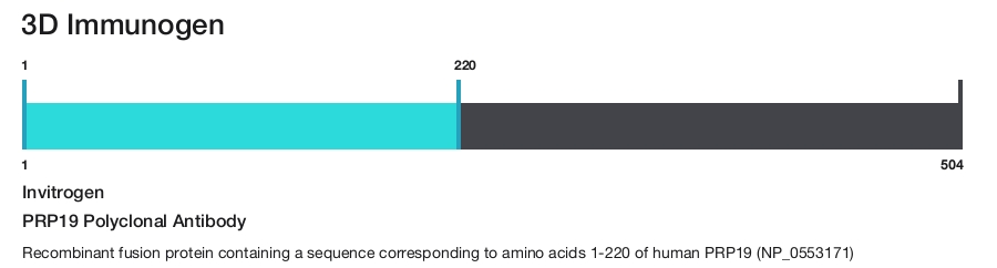 PRP19 Polyclonal Antibody