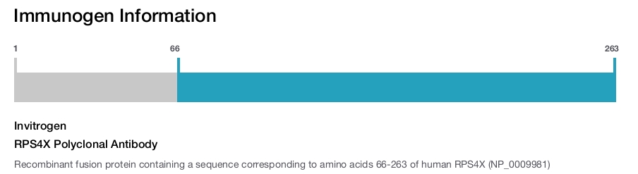 RPS4X Polyclonal Antibody
