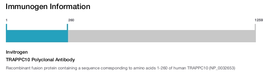 TRAPPC10 Polyclonal Antibody