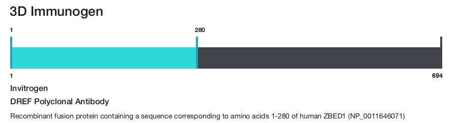 DREF Polyclonal Antibody