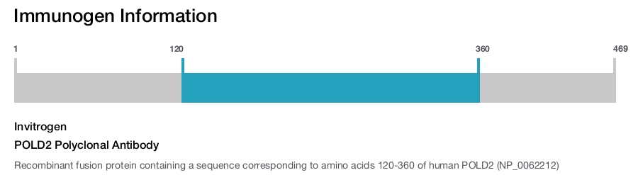 POLD2 Polyclonal Antibody