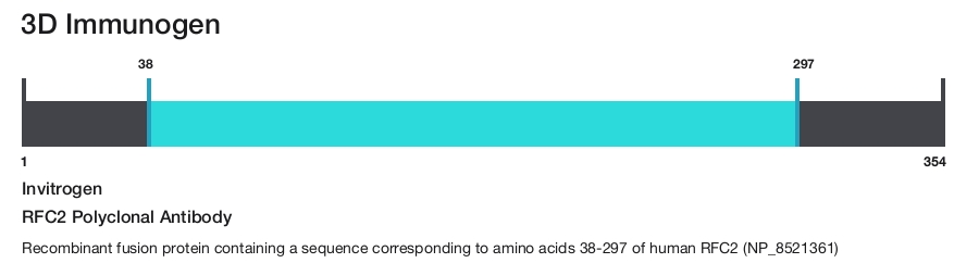 RFC2 Polyclonal Antibody