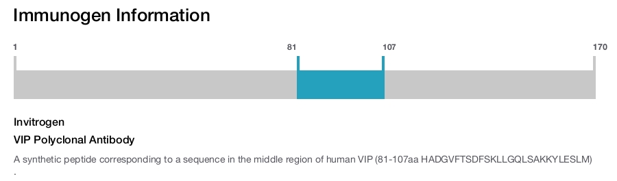 VIP Polyclonal Antibody