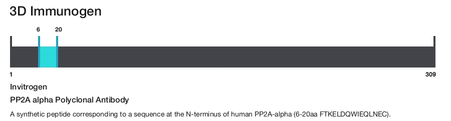 PP2A alpha Polyclonal Antibody