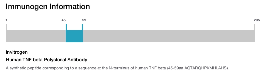 Human TNF beta Polyclonal Antibody