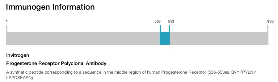 Progesterone Receptor Polyclonal Antibody