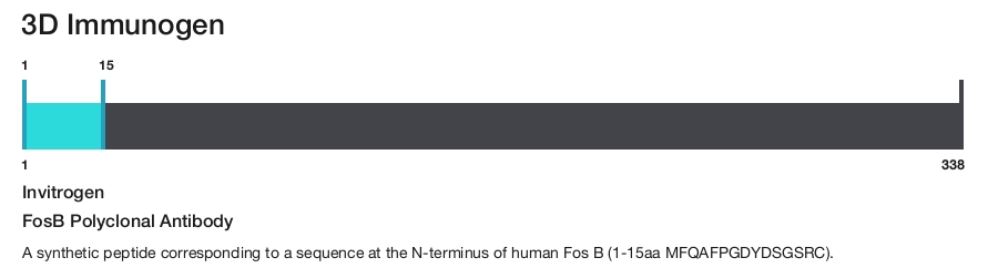 FosB Polyclonal Antibody