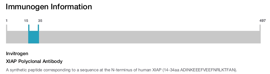 XIAP Polyclonal Antibody
