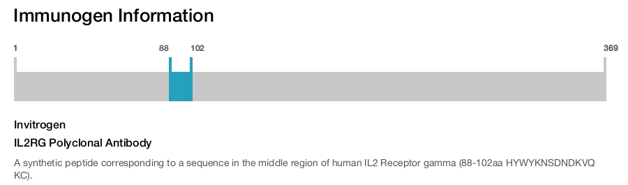 IL2RG Polyclonal Antibody