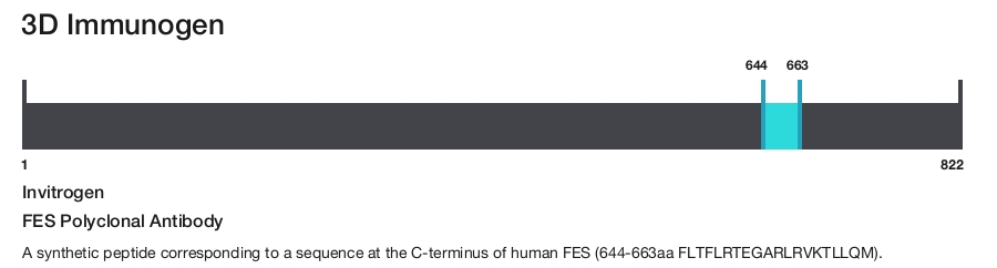 FES Polyclonal Antibody