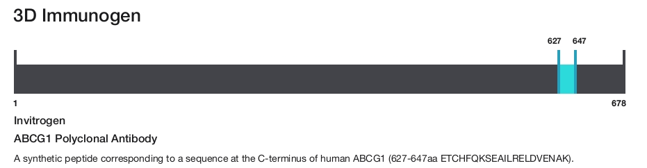 ABCG1 Polyclonal Antibody