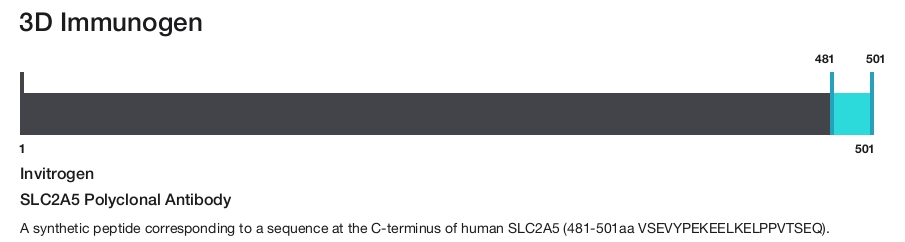 SLC2A5 Polyclonal Antibody
