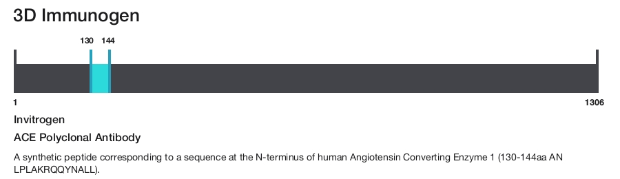 ACE Polyclonal Antibody