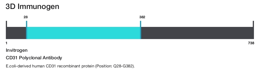 CD31 Polyclonal Antibody