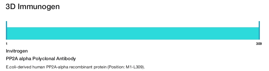 PP2A alpha Polyclonal Antibody
