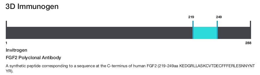 FGF2 Polyclonal Antibody
