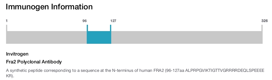 Fra2 Polyclonal Antibody