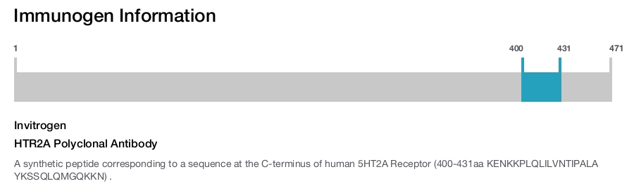 HTR2A Polyclonal Antibody