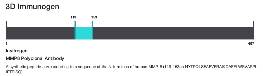 MMP8 Polyclonal Antibody