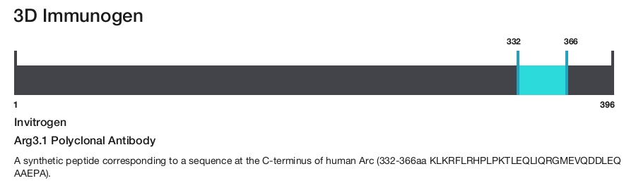 Arg3.1 Polyclonal Antibody