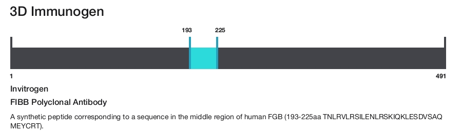 FIBB Polyclonal Antibody