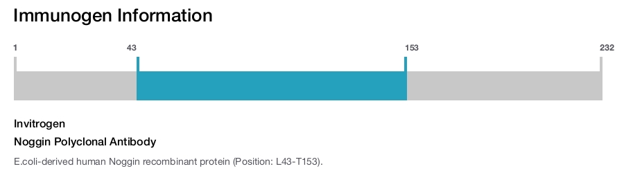 Noggin Polyclonal Antibody