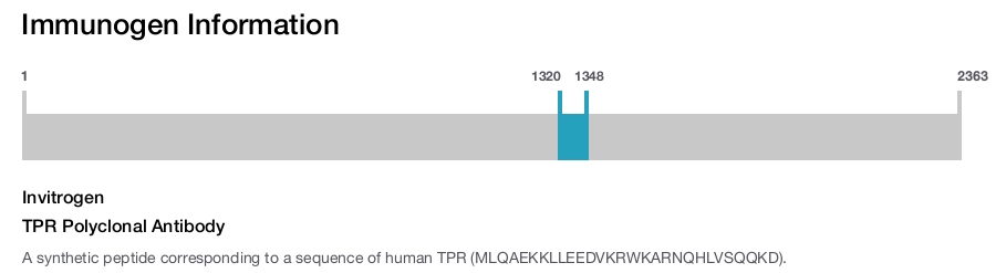 TPR Polyclonal Antibody