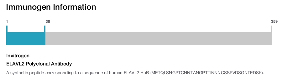 ELAVL2 Polyclonal Antibody