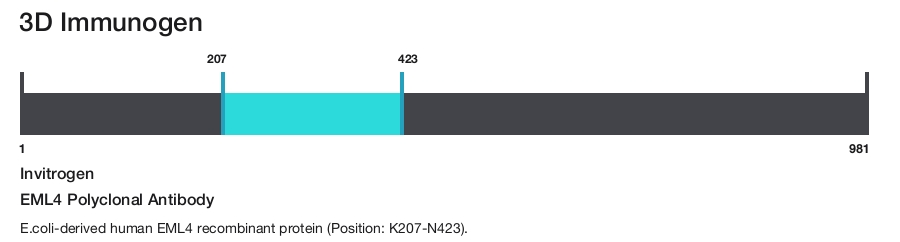 EML4 Polyclonal Antibody