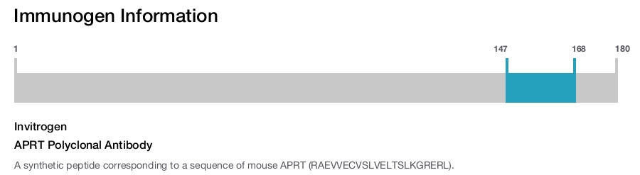 APRT Polyclonal Antibody