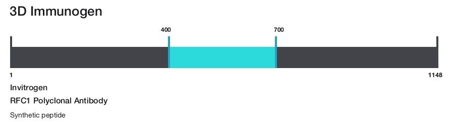 RFC1 Polyclonal Antibody
