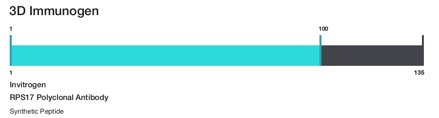RPS17 Polyclonal Antibody