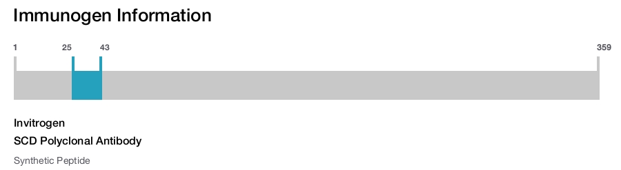 SCD Polyclonal Antibody