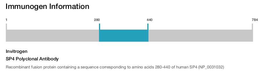 SP4 Polyclonal Antibody