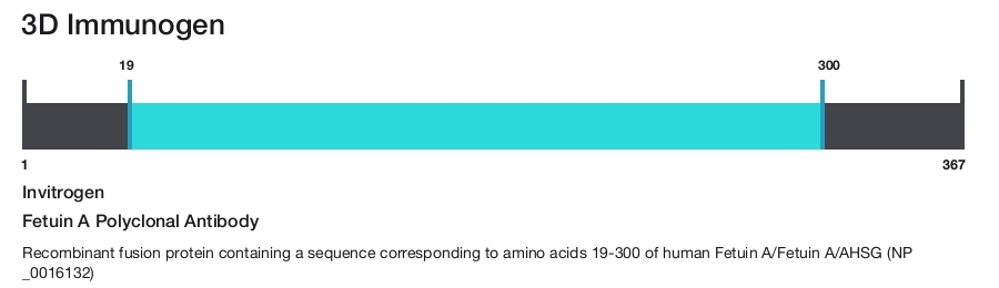 Fetuin A Polyclonal Antibody