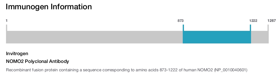 NOMO2 Polyclonal Antibody