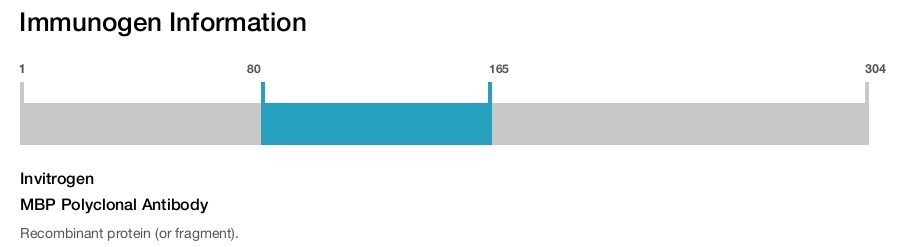 MBP Polyclonal Antibody