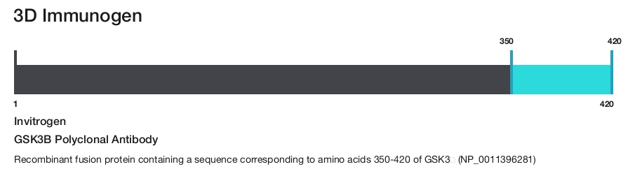 GSK3B Polyclonal Antibody