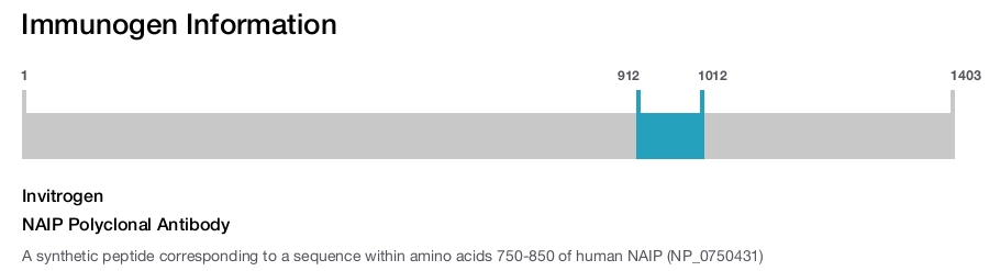 NAIP Polyclonal Antibody