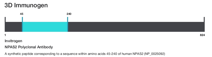 NPAS2 Polyclonal Antibody