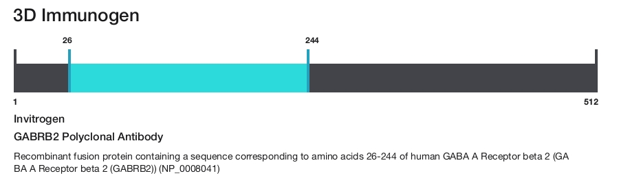 GABRB2 Polyclonal Antibody