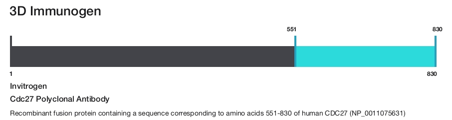 Cdc27 Polyclonal Antibody