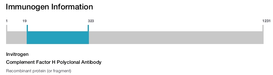 Complement Factor H Polyclonal Antibody