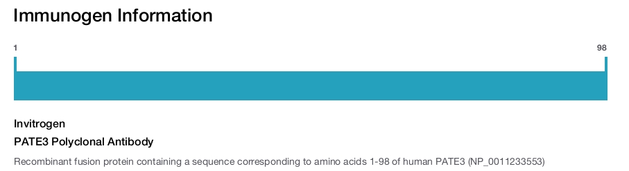PATE3 Polyclonal Antibody