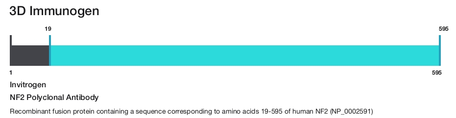 NF2 Polyclonal Antibody
