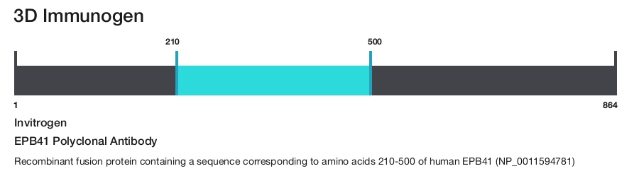 EPB41 Polyclonal Antibody